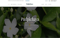 Pudpichaya Website